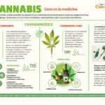 Potenciales beneficios de la marihuana medicinal