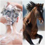 Potencializa tu cabello con shampoo de caballo