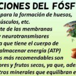 Potenciando tu salud: beneficios del fósforo