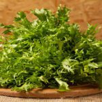 Potenciando tu salud con escarola cruda