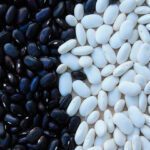 Potenciando tu salud con los beneficios del poroto
