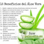 Potente Aloe Vera: ¡Sácale provecho a sus beneficios crudos!
