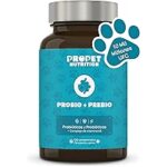 Probióticos: impulsa tu salud desde adentro