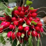 Rábano crudo: ¡aprovecha sus beneficios!