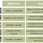 Razones para amar los beneficios de las pindas