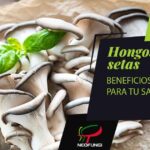 Razones para aprovechar los beneficios zetas