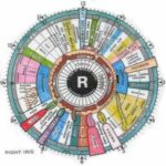 Razones para conocer la iridología