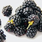Razones para disfrutar de las moras