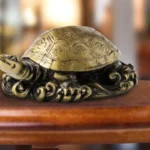 Retoño de tortuga: beneficios de tener una casa en tus manos