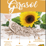 Rincón de beneficios: girasol
