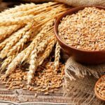 Riquezas del germen de trigo