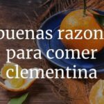 Saborea los beneficios de la clementina