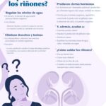 Salud renal: descubre los beneficios de cuidar tus riñones