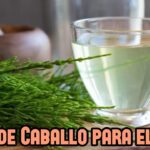 Secretos de la cola de caballo para una piel radiante