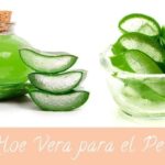 Secretos de la sábila para un cabello radiante