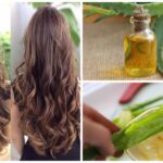 Secretos del aceite de aloe vera para un cabello saludable