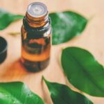 Secretos del aceite de té verde para una piel radiante