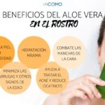 Secretos del aloe vera para tu piel