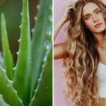 Secretos del aloe vera para un cabello perfecto