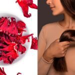 Secretos para un cabello saludable con jamaica