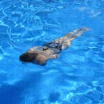 Slim Swim: Beneficios de la natación para bajar de peso