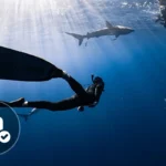 Sumérgete en los beneficios del buceo en piscina