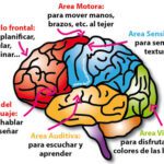 Tejido de bienestar: los beneficios de tejer