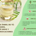 Top 5 beneficios del aceite de árbol de té para tu cabello